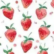 いちご（プロフを必ず確認下さい）の画像