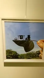 まみごんの画像