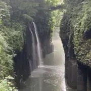 弥栄の画像