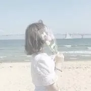sakuraの画像