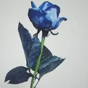 aiの画像