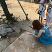 Image of ナナ❣️お値下げ交渉お気軽に⭐️