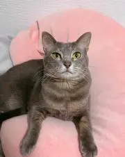 ひかる