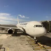 なかやん