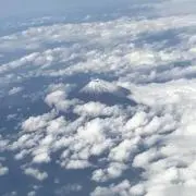 まろまろの画像