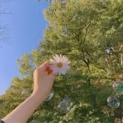pinO_s.の画像
