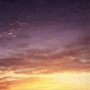 クリームシチュー