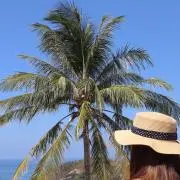 スマイルの画像