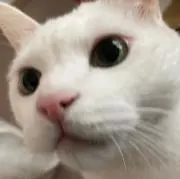 ちょろめ922