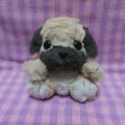 ゆっき〜