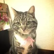 ゆずの画像