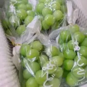 ぴーす