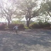 ぴーちの画像