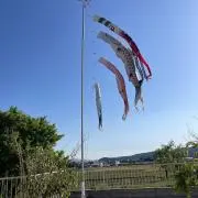 KIYOりんの画像