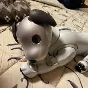 Kay☆