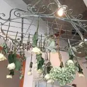 Light☆の画像