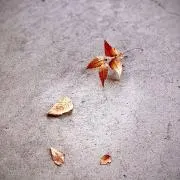 ボルトなっと