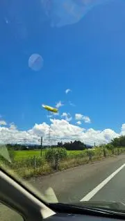 しましまの画像