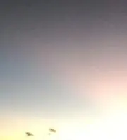 Yoの画像