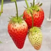 7sh*プロフ必読の画像