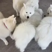 あかちゃんの画像