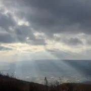 ぱむ