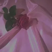 ぱんだ
