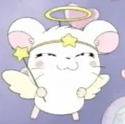 おもちの画像