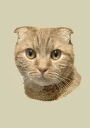 きよみん