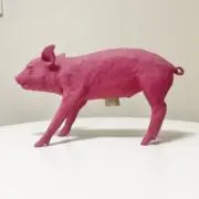 ksの画像