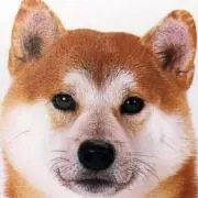 siba