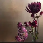 n&m✿︎プロフ必読♡︎