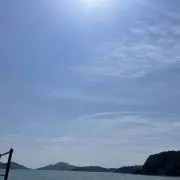 Dの画像