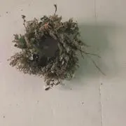 a♥️