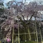りの画像