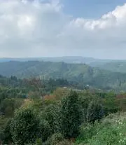 1620の画像