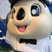 ポコニャンの画像