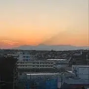 ニックカーターの画像