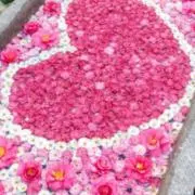 カリーナ★ペットと喫煙者無しの画像