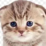 ゆうの画像