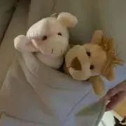 キナコ