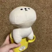 ✩︎えいと✩︎の画像