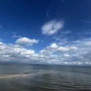 チョビの画像