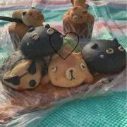 あさの画像