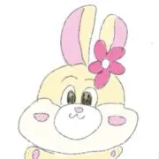 *NA*の画像
