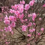 Nagiの画像