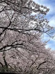 Mｉーの画像