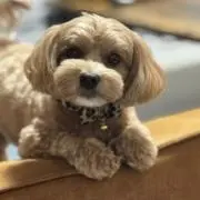 ひでぼう
