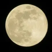 ＲＡ★プロフ確認お願いしますの画像