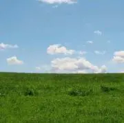 b.の画像
